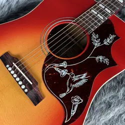 HUMMINGBIRD SPECIAL