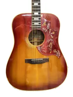 SUNBURST/6 STRINGS/HUMMINGBIRD