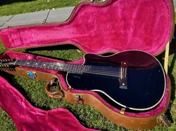 INLAYS EBONY W/