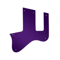 VOS PURPLE MIRROR