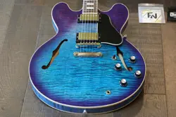 GUITAR BLUEBERRY