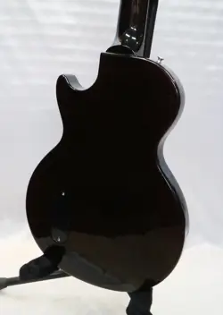 VINTAGE SUNBURST 2019