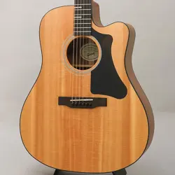 GIBSON G-WRITER EC