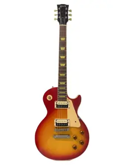 CASE/LES PAUL