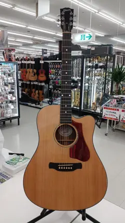 GIBSON USA HUMMINGBIRD ACOUSTIC GUITAR WALNUT FINISH MODEL 11917054