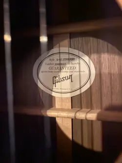 STANDARD ACOUSTIC ELECTRIC