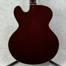 TENNESSEAN KAKOGAWA