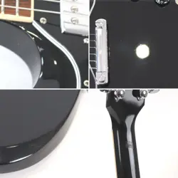 STANDARD EBONY 2021