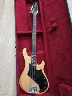 VICTORY BASS NATURAL