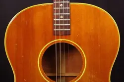 GIBSON TG-25
