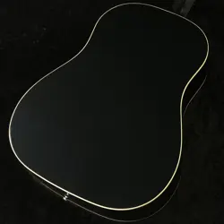 EBONY 20824008