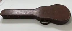 JUNIOR ALLIGATOR