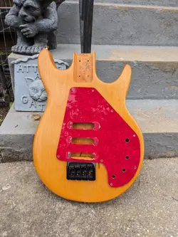 BASS BODY PROJECT