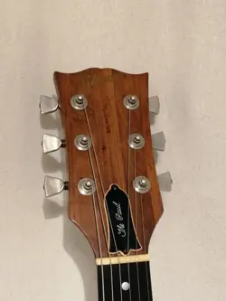 GIBSON THE PAUL ELECTRIC GUITAR