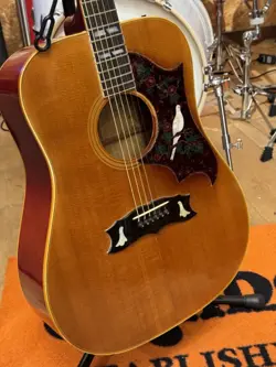 GIBSON DOVE USED