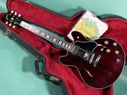 ES-335 TD WR