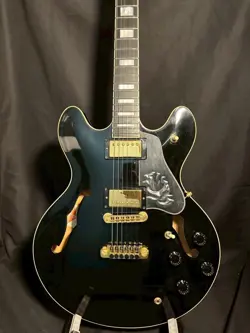BLACK 1979 ELECTRIC