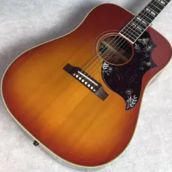 60'S HUMMINGBIRD PU