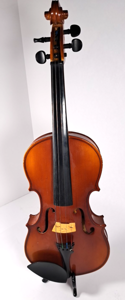 VIOLIN GBVLSM