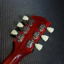 PAUL STANDARD GLOSS