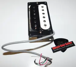 ZEBRA NECK GUITAR