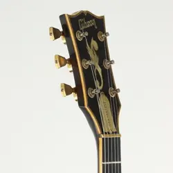 1979 FIREBURST USED