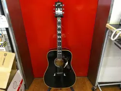 CUSTOM MODEL 1977
