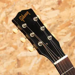 F-25 FOLKSINGER