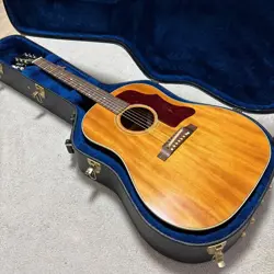 BAGGS PICKUP GUITAR