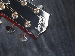 2022 ACOUSTIC ELECTRIC
