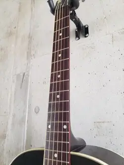 STANDARD 2014 ACOUSTIC