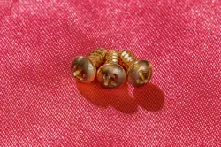 CS SPEC MEDIUM AGED GOLD PLATED TRUSS ROD COVER SCREWS (3X) FOR GIBSON GUITARS