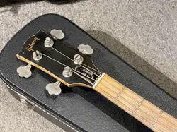 BASS L-9S