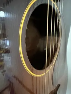 BODIED ACOUSTIC