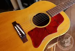 GIBSON J-50 1964