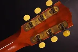 ACOUSTIC GUITAR [AUTH]