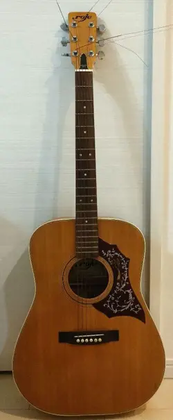 ACOUSTIC GUITAR 12-FRET
