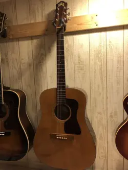 D25 ACOUSTIC