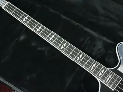 EBONY ELECTRIC BASS