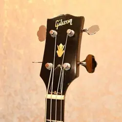 EB-2 ELECTRIC BASS
