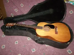 VG W/CASE LG-1
