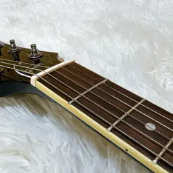 SG STYLE ELECTRIC
