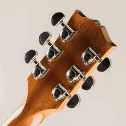 GIBSON DEMO GUITAR