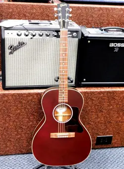 GUITAR W/ GIG
