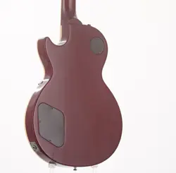 PAUL STANDARD 1995