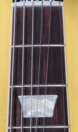 61 SG