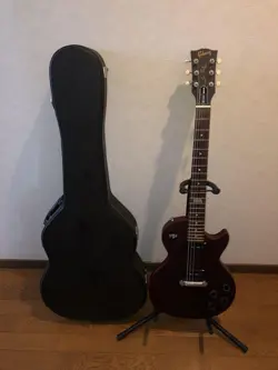 GIBSON LES PAUL BURGUNDY HARD CASE