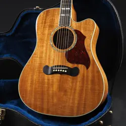 KOA BODY- USED