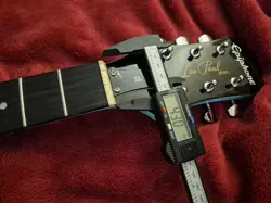 PAUL SPECIAL GUITAR