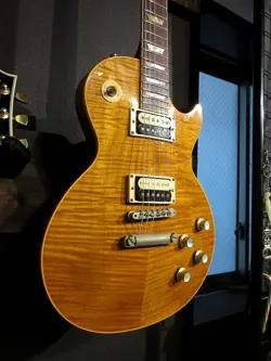 NO.DG901